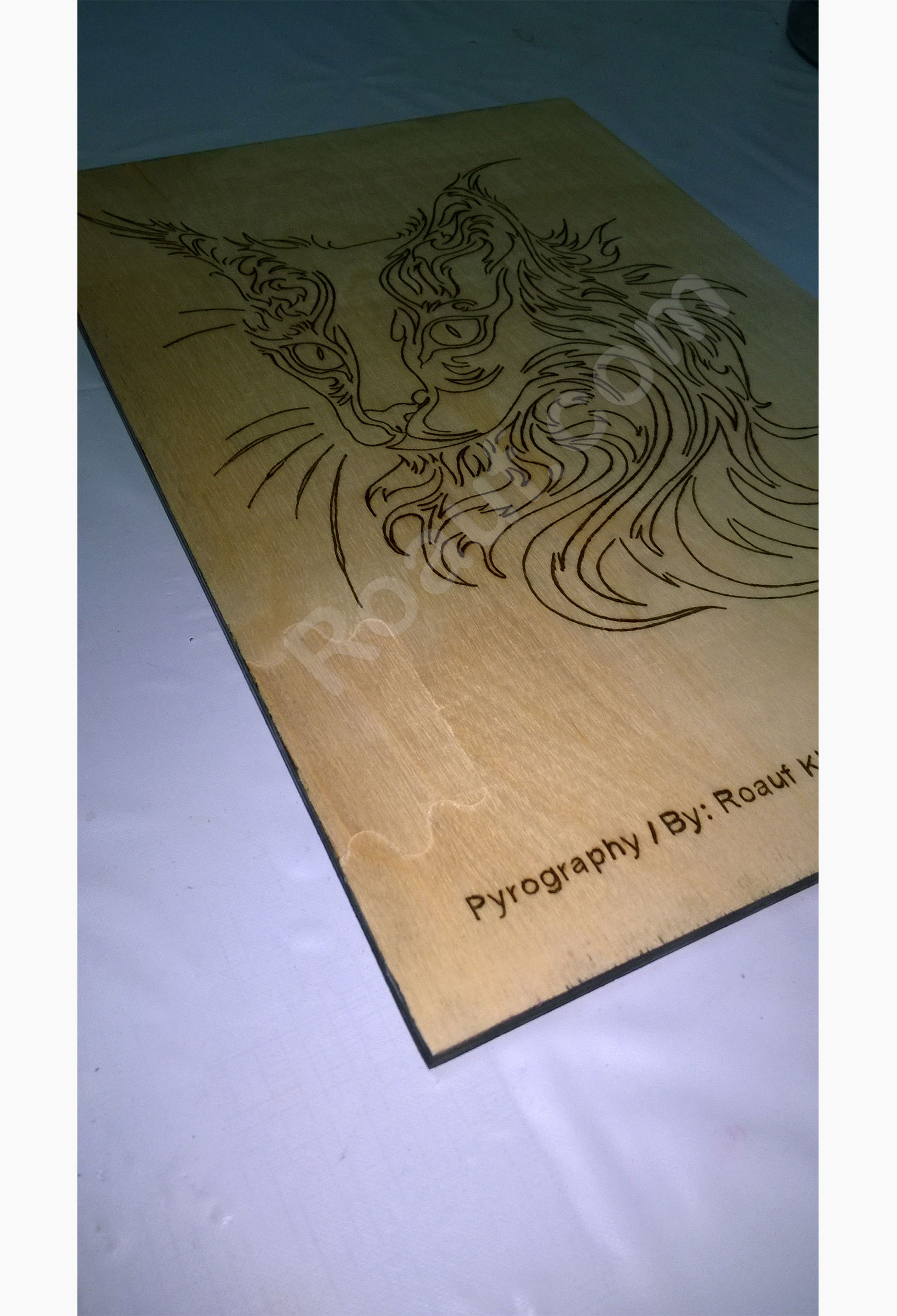 Pyrography Panel of a Cat