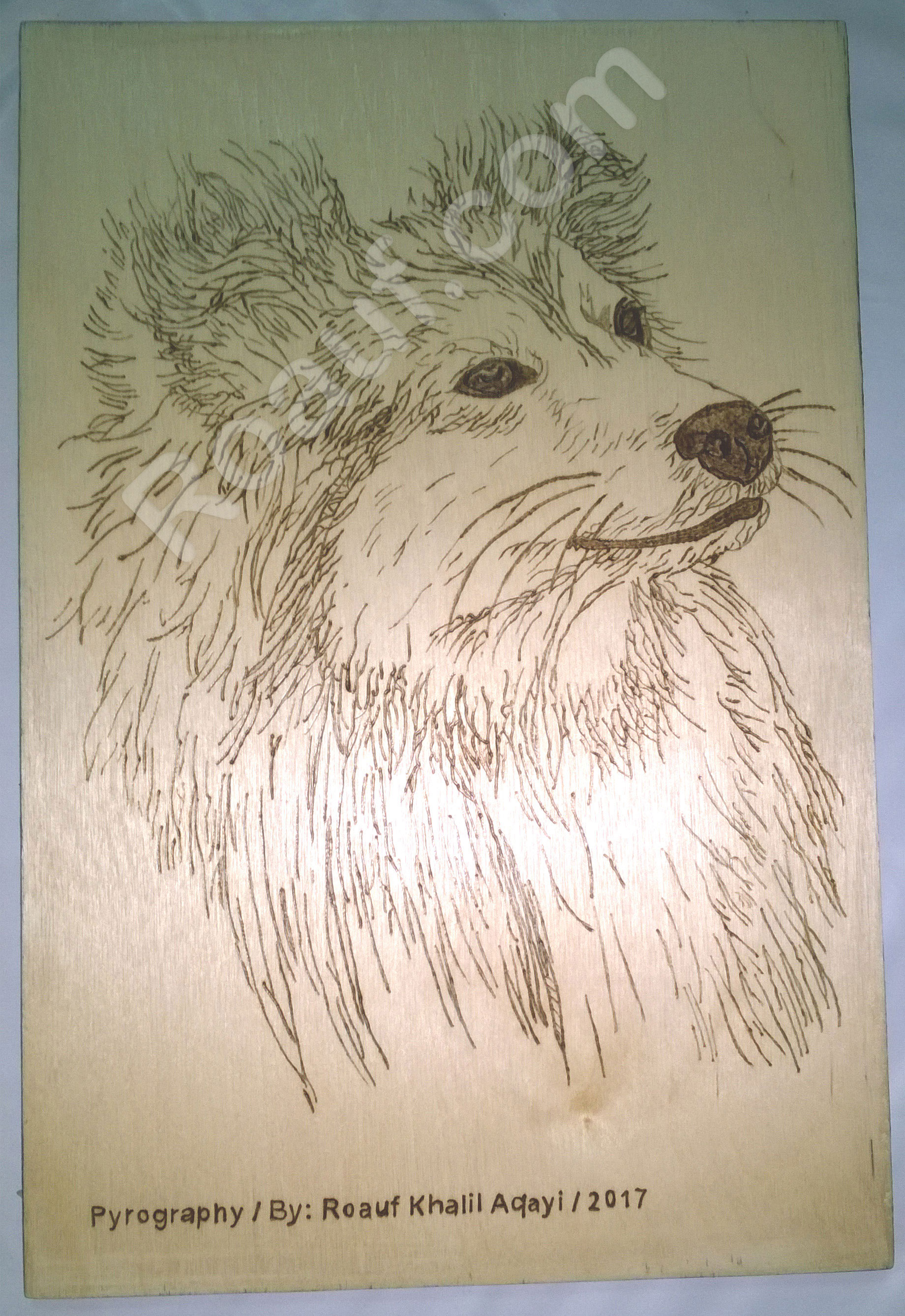 Pyrography Panel of a Dog